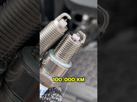 The difference between dual iridium spark plugs and platinum spark plugs #sparkplug #mechanic #auto