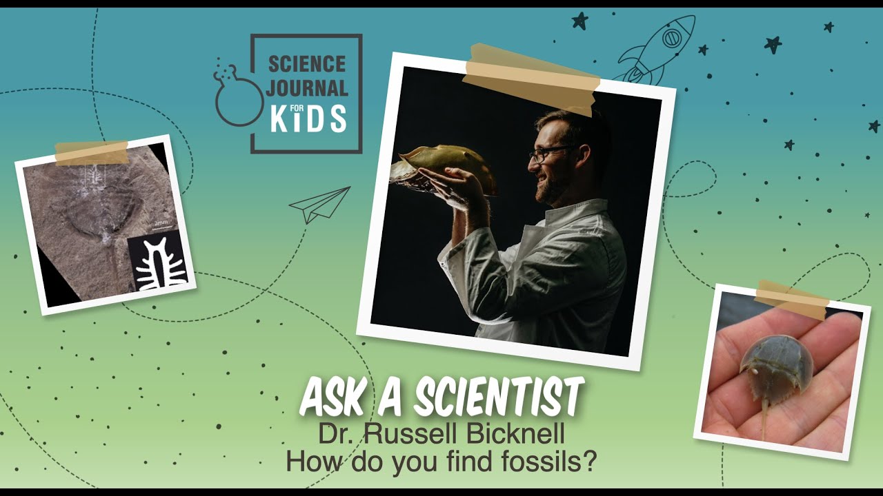 Ask a Scientist: Dr. Russell Bicknell - How do you find fossils?