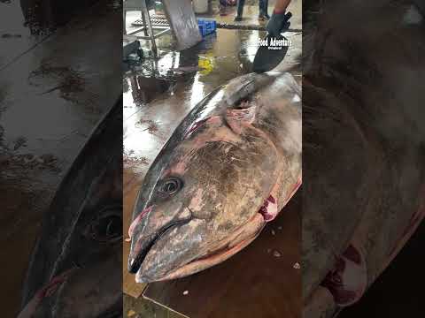Giant bluefin tuna sliced with the sharpest knife #bluefintuna #fishcutting #sharpknife #reelsviral