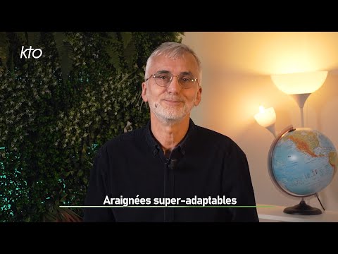 Araignées super-adaptables