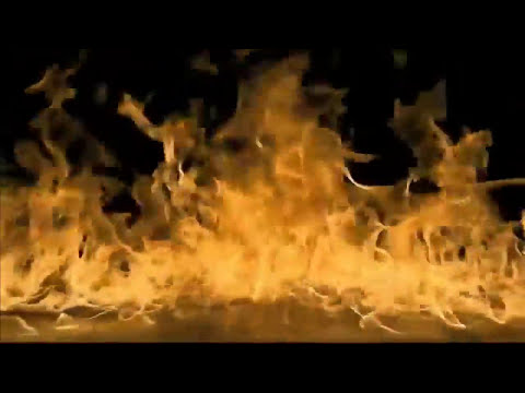 DAVID QUINLAN /FOGO REFINADOR