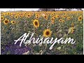 Poovukkul Olinthirukkum Song Whatsapp Status Tamil Love Song Whatsapp Status Full Screen