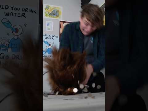 How To Use A Bag Of Holding | DnD Shorts