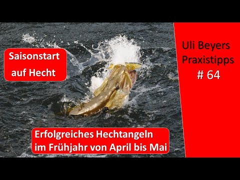 Saisonstart Hecht: Erfolgreiches Hechtangeln im Frühjahr