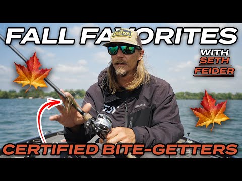 Seth Feider's FAVORITE Fall Fishing Techniques!