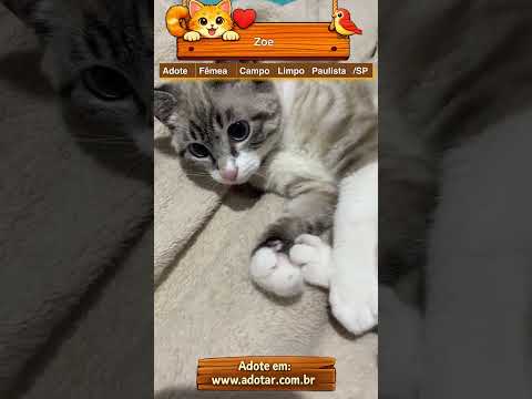 Vídeo de Zoe 