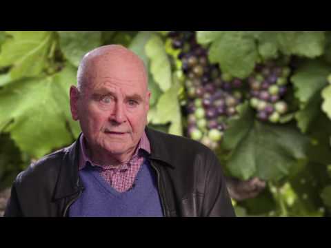 Dark Horse Winery of the Year 2018 YouTube