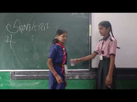 Project Presentation class 6 Sanskrit