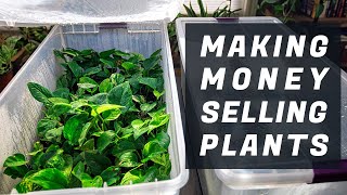 Making money selling plants on Facebook   vlog with the Canon EFS 10 18mm