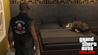 I found Chop sleeping in my bed in GTA Online