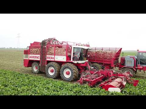 12 row Sugarbeet Harvesting (4K) |The Netherlands | AGRIFAC HEXA