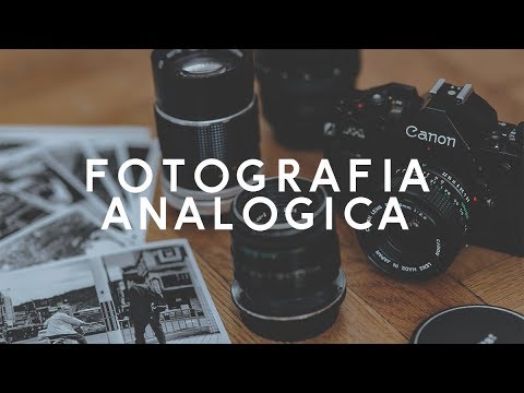 Eczemi di fotografia su trattamento di piedi Dal quale leczema intraprende
