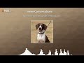 Revitalizing Luca: Natural Solutions for Bracco Italiano Joint Health