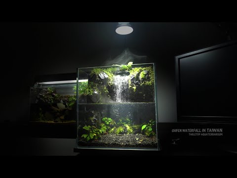 How To Make Amazing Waterfall in Aquaterrarium | Shifen Waterfall Aquascape