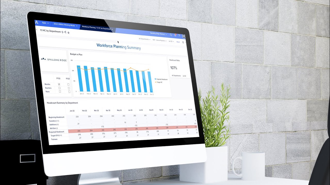 Strategic Workforce Planning Demo