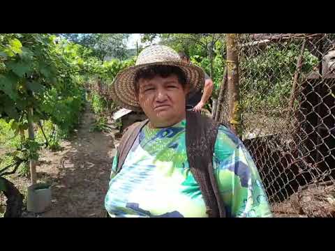 Urmările inundațiilor de duminică, la Benic