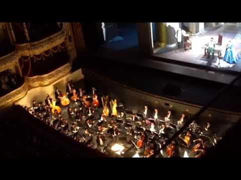 Don Carlo Bolshoi Anna Nechaeva