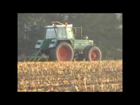 Kerckaert: Scharren.