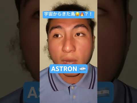 唯一無二の高音😱🔥🔥🔥 #beatbox #ビートボックス #beatboxinternational #ボイパ #beatboxing #bbxint #神技