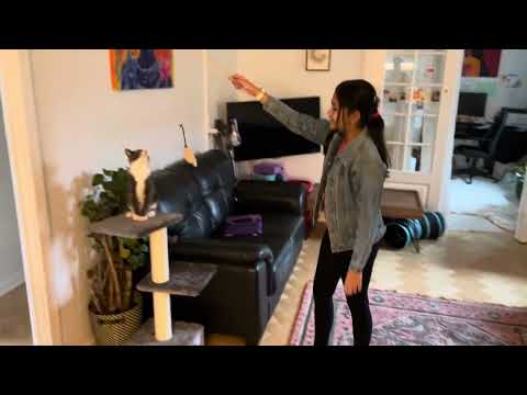 Vasudha playing with Barfi