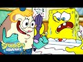 What I Learned In Boating School Is Full Scene HD SpongeBob