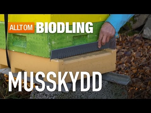 Musskydd för bikupor - Bihälsa - Biredskap