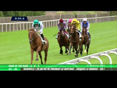 Kingman - Prix du Haras de Fresnay-le-Buffard - Jacques Le Marois 2014 G1