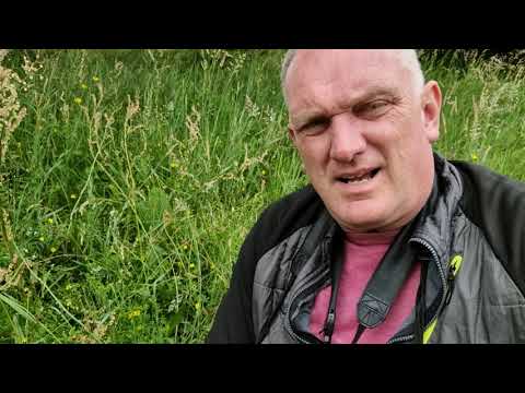 The erosion of biodiversity. Den langsomme forvitring af biodiversitet.