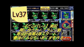 【どこパレ！】Lv39　Aランク戦用 育成計画第4弾！未完成のまま戦地へ…。ベビーサタンにデスファイア伝授付