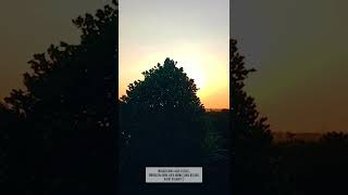 Download lagu story' wa Sugeng Dalu widodari mp3 Download lagu story' wa Sugeng Dalu widodari mp3