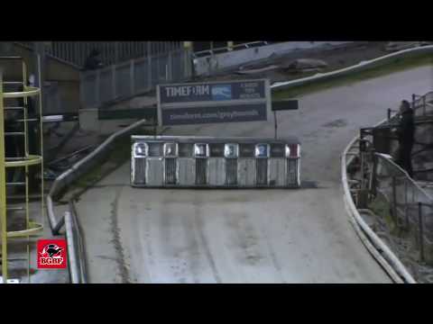 BGBF British Derby Heat 3 - DOWN TO THE FELT