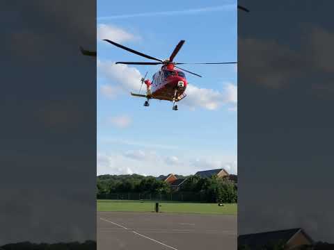 Helimed 55