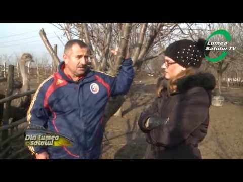 Emisiunea "Din lumea satului" - 22 decembrie 2013