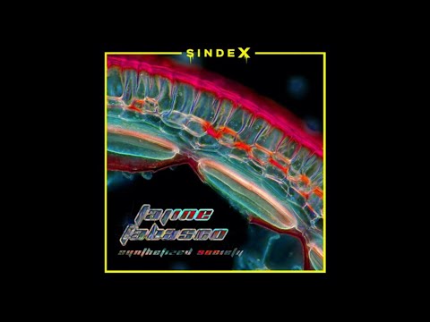 Tajine Tabasco - Synthesized Society [SINDEX003]