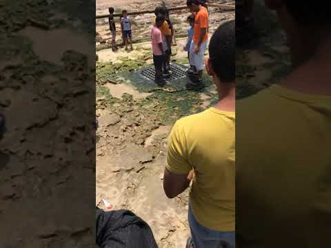 Salalah Oman #Shorts Video Salalah Sea side Mugshail || Tourist Park Salalah Beach || Tourism park