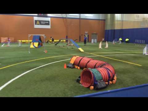 Regional 2016 - Standard 2, 2nd place!!