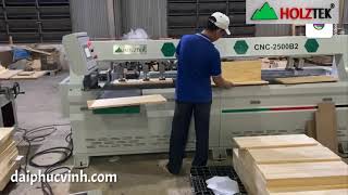 HOLZTEK. MÁY KHOAN NGANG CNC 2 ĐẦU ĐỊNH VỊ HỒNG NGOẠI TỐT NHẤT THỊ TRƯỜNG VIỆT NAM 2020