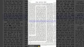 דף היומי מנחות דף מג