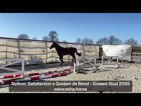 Skyliner: Satisfaction x Quidam de Revel