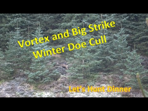 Super Vortex and Strike Roe Doe Hunting Deer Stalking Kill Shot Scotland Barnes TTSX Tikka T3X