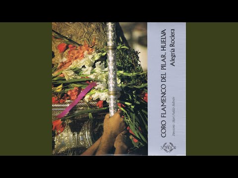 Niña Marinera - Coro Flamenco del Pilar