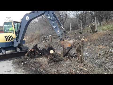 Bobcat 442 removing the roots