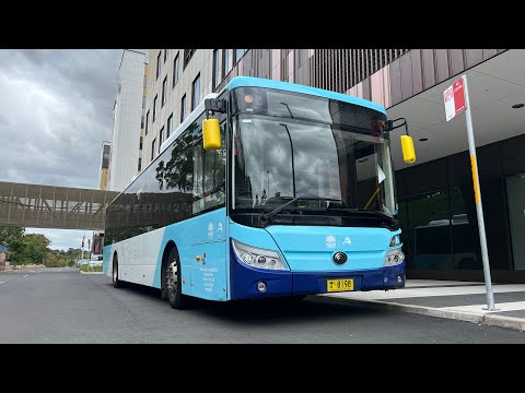 Interline Bus Services: m/o 8198 - Yutong E12 ZK6131HGE