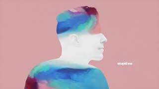 Stupid Me Music Video