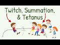 Twitch Summation And Tetanus In Skeletal Muscle Contraction Physiology With Animation