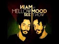 NIAM feat. Mellow Mood - See it now 
