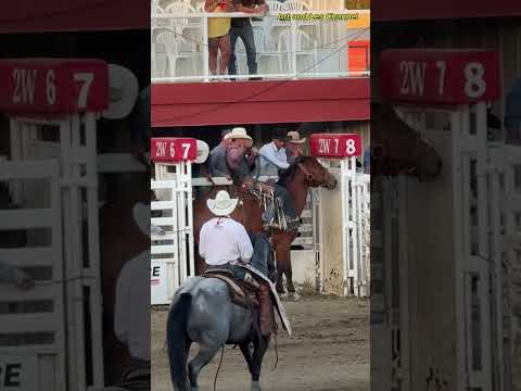 Bronc Riding Rodeo Bloopers