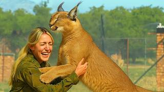 20 Times When Animals Reunited With Owners After Years Make You Cry in a Special Way 2025 #6