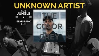 UNKNOWN ARTIST OF THE WEEK: THE COLOR GREY (JUNGLE BEATS RADIO S01E06)