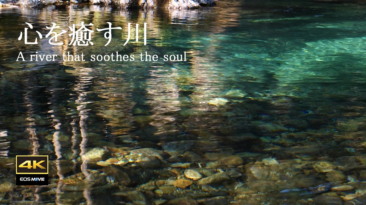 4K映像 + 自然の音 /　湧水(伏流水)の流れる円原川の美しい自然　美しいエメラルドグリーン